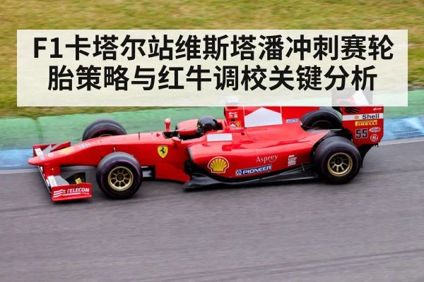 F1卡塔尔站维斯塔潘冲刺赛轮胎策略与红牛调校关键分析